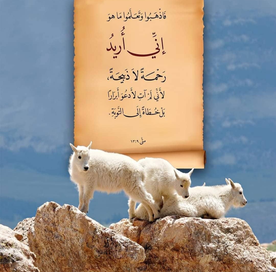 sunset behind San Francisco city skyline